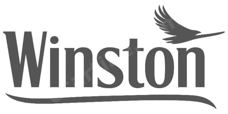 Winston logo
